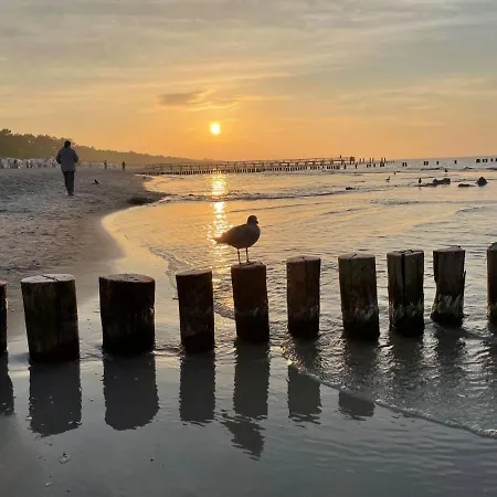 Unsere Perle Am Hafen Von זינקסט